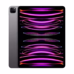 Apple iPad Pro 6th Generation 256GB WIFI + CELLULAR, Space Gray (Open Box with Apple Warranty)