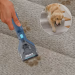 Shark CarpetXpert EX200C handheld removing a pet stain from a carpeted staircase