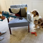 Shark PowerDetect HZ4000C in hand vacuum mode with the Pet Multi-Tool on an upholstered chair