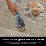 Shark StainStriker PX200C cleaning a pet stain from carpeted stairs